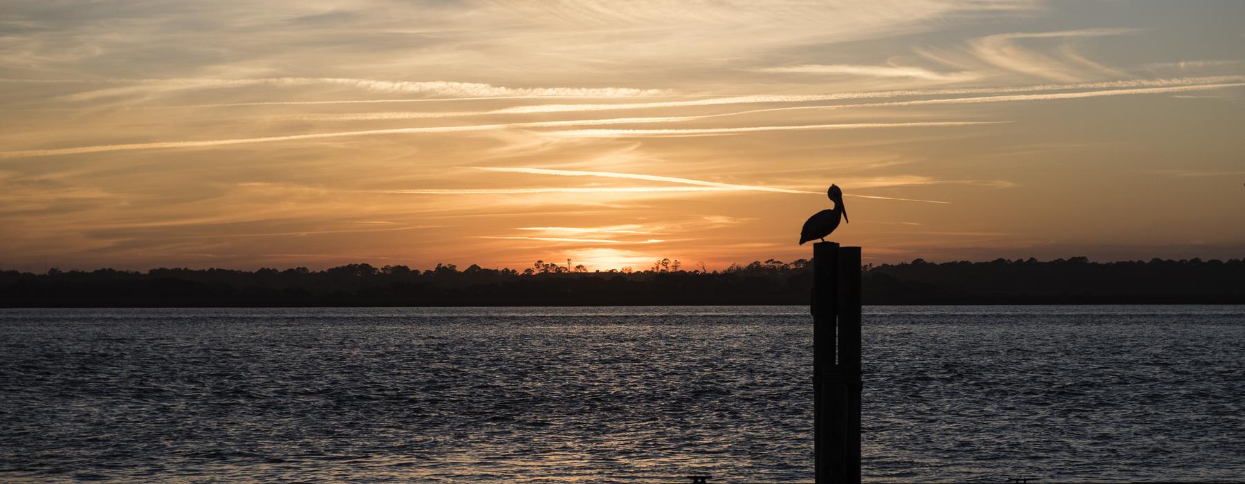 Amy Gibbs St. Augustine Beach Watson Realty Corp., REALTORS